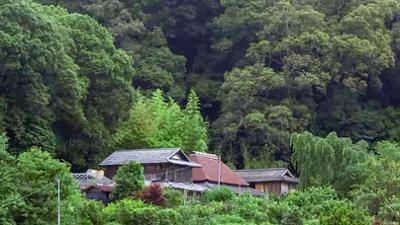 Mit Kompass und Köpfchen auf hoher See: Japan, Kamikatsu