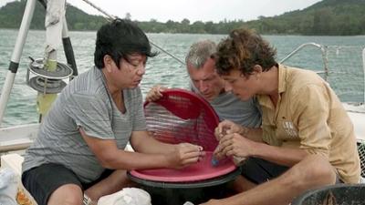 Mit Kompass und Köpfchen auf hoher See: Thailand, Phuket