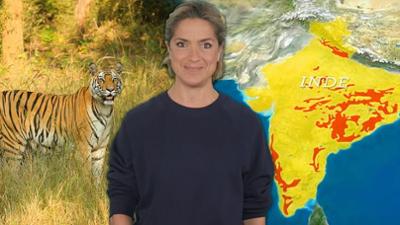 Mit offenen Karten: Weltnaturkonferenz: Kann die Tierwelt noch gerettet werden?