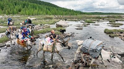 Mongolei, immer auf Achse: Die Rentiernomaden der Taiga
