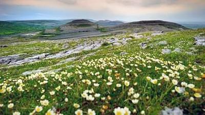 Natura Europa: Die Grüne Insel und die graue Steinwüste
