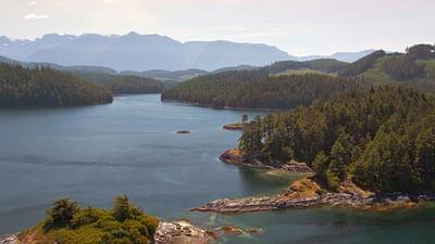 Naturerbe Kanada: Der Küstenwald am Pazifik