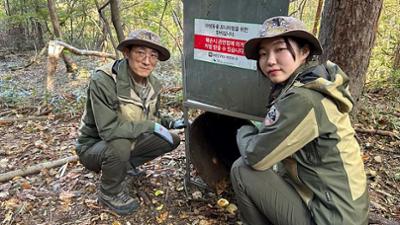 Naturjuwel Südkorea: Kragenbären, Kimchi und Klosterleben