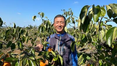 Naturjuwel Südkorea: Sinan und die 1004 Inseln