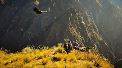 Oasen - Inseln des Lebens: Die Lebensader der Anden