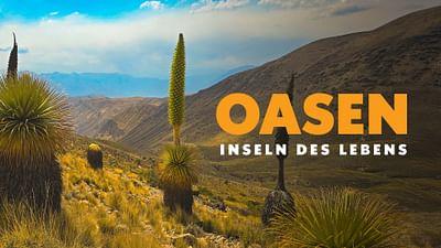 Oasen: Inseln des Lebens