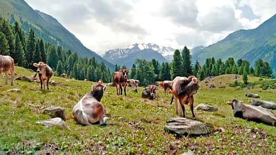 Österreich im Wandel: Tirol