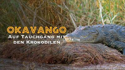 Okavango: Auf Tauchgang mit den Krokodilen Okavango: Auf Tauchgang mit den Krokodilen