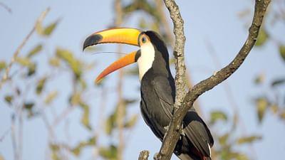 Paraguays unbekannte Schätze: Im Herzen des Gran Chaco