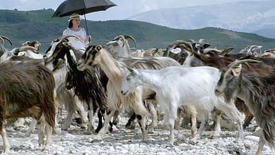 Raue Welten - Wilde Schönheiten: Albanien