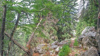Raue Welten - Wilde Schönheiten: Kroatien
