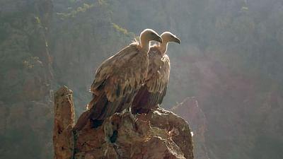 Raue Welten - Wilde Schönheiten: Bulgarien