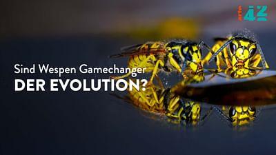 Sind Wespen Gamechanger der Evolution?: 42 - Die Antwort auf fast alles