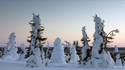 Skandinavien: Rückkehr des Lichts