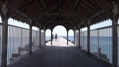 Stadt Land Kunst: Suzanne Dracius' Martinique / Louisiana / Wien