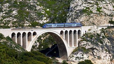 Stadt Land Kunst: Jangarh Singh Shyams Indien / Provence / Washington