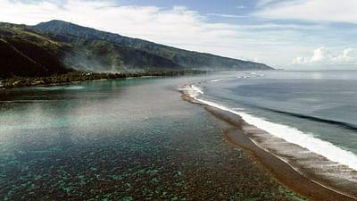 Stadt Land Kunst: Walt Disneys Paris / Karpaten / Polynesien