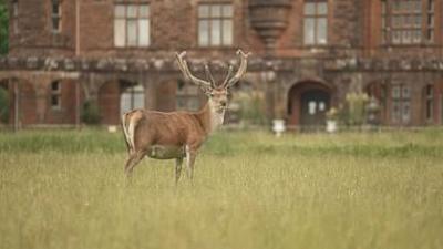Stadt Land Kunst: Claudia Llosas Peru / Rùm / Mazamet