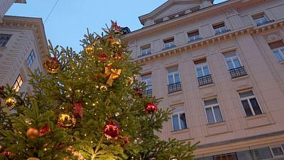 Stadt Land Kunst: Francisco Coloanes Chile / Liberia / Wien