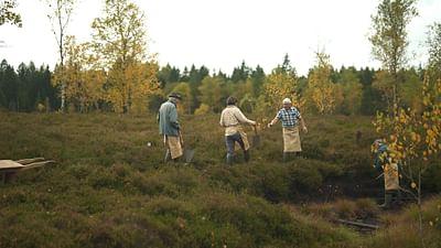 Stadt Land Kunst: Chinua Achebes Nigeria / Jura / Mexiko