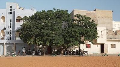 Stadt Land Kunst: Mabeye Demes Senegal / Island / Paris