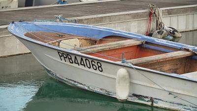 Stadt Land Kunst: Guadeloupe