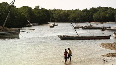 Stadt Land Kunst: New York / Kenia / Wales