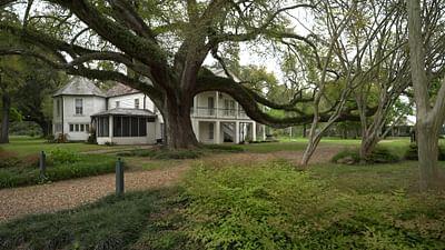 Stadt Land Kunst: Clementine Hunters Louisiana / Japan / Paris