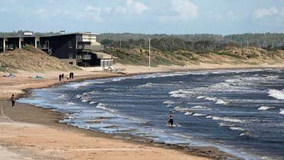 Stadt Land Kunst: Schweden / Indien / Chicago