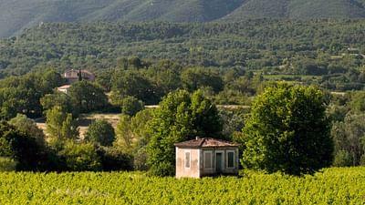 Stadt Land Kunst: Luberon / Niedersachsen / Jamaika / Senegal
