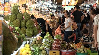 Stadt Land Kunst: Anna Moïs Vietnam / New Orleans / Thiers