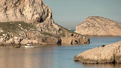 Stadt Land Kunst: Marlen Haushofers Österreich / Marseille / Marquesas