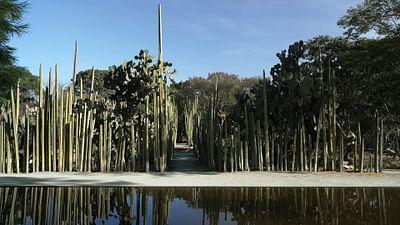 Stadt Land Kunst: Francisco Toledos Mexiko / Kenia / Athen