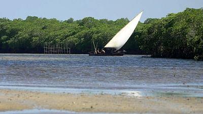 Stadt Land Kunst: Henry de Monfreids Kenia / Argentinien / Slowenien