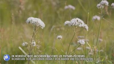 Stadt Land Kunst: Norwegen