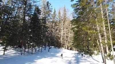 Stadt Land Kunst: Gabrielle Filteau-Chibas Québec / Puerto Rico / Mexiko