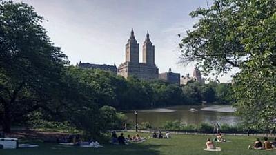 Stadt Land Kunst: James Balwins Harlem / Neukaledonien / Bretagne