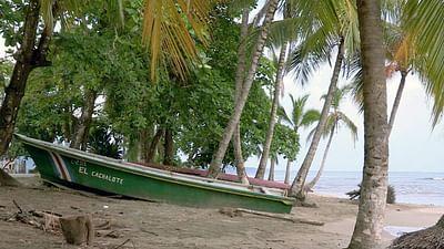 Stadt Land Kunst: Walter Fergusons Costa Rica / Irak / Cerbère Stadt Land Kunst: Walter Fergusons Costa Rica / Irak / Cerbère