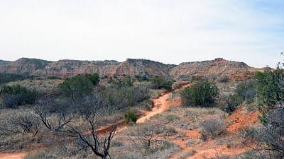 Stadt Land Kunst: Georgia O’Keeffes Texas / Korea / Toulon