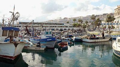 Stadt Land Kunst: Bilbao / Algier / USA