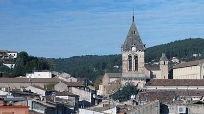 Stadt Land Kunst: Maud Bénézits Ardèche / Spreewald / New-York