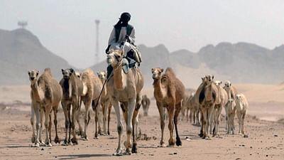 Stadt Land Kunst: Saudi-Arabien