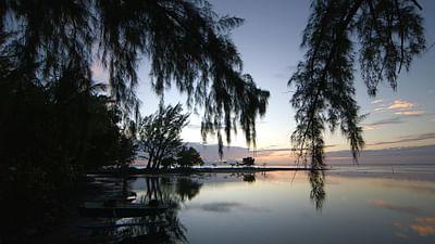 Stadt Land Kunst: Polynesien