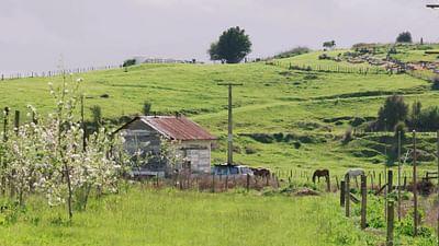 Stadt Land Kunst: Neuseeland