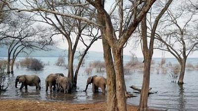 Tanganjika - Das Meer im Herzen Afrikas: Wild und geheimnisvoll