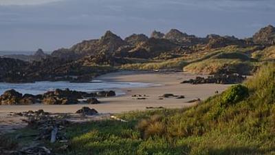 Tasmaniens wundersame Tierwelt: Die Insel der Schnabeltiere