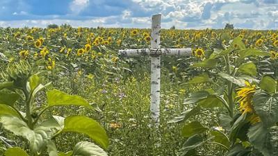 Tracks East: Helden oder Täter? - Der Geschichtsstreit zwischen Polen und der Ukraine