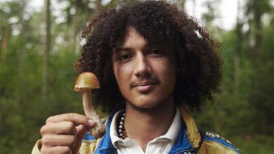 Twist: Mushroom Boom - Warum sind Pilze in?