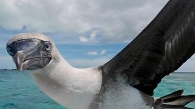 Unbekannte Südsee: Kiribati