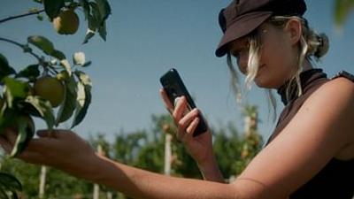 Village X: Der Food-Aktivist und die Obstbauern (1/2)